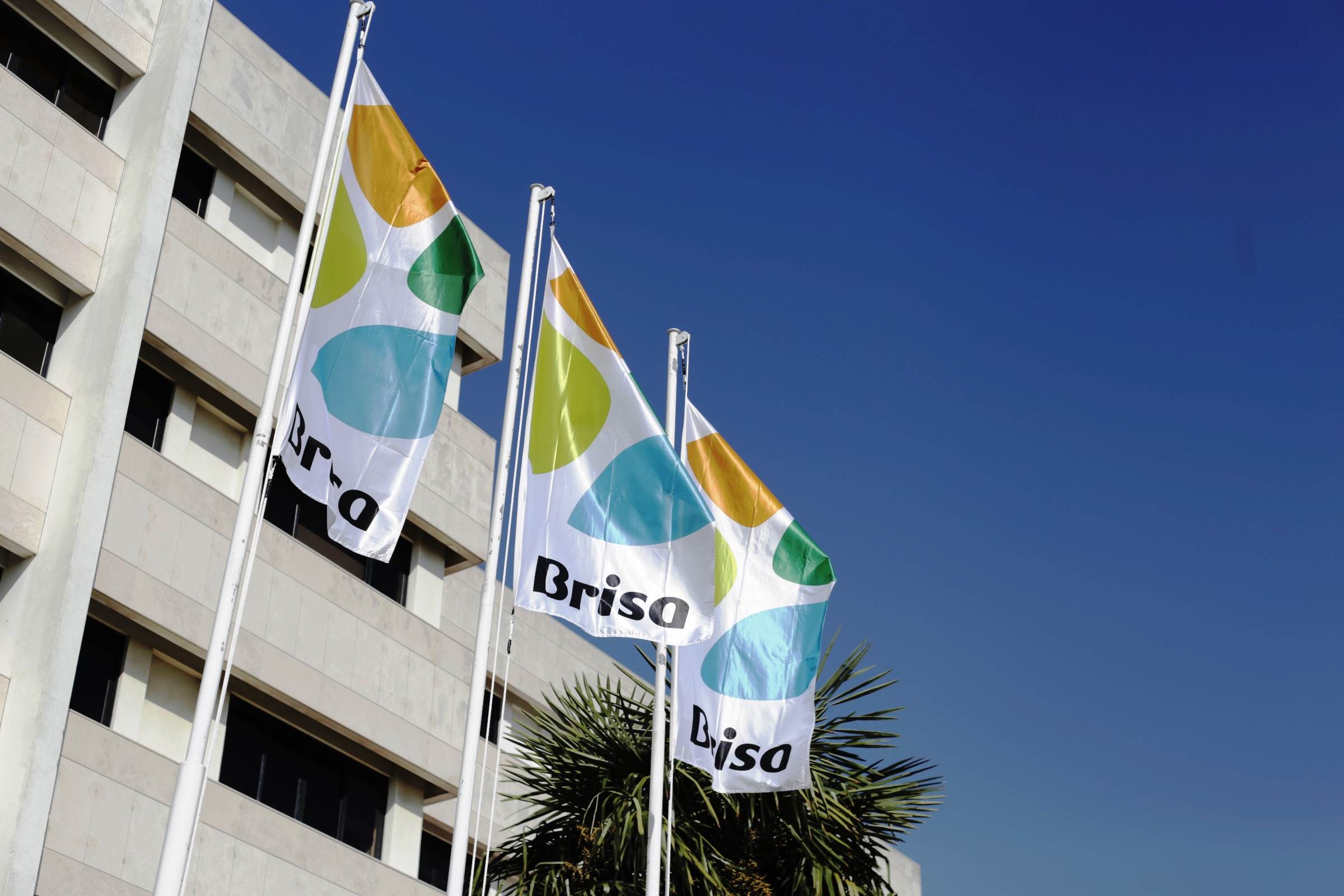 Centro Corporativo Img 1735