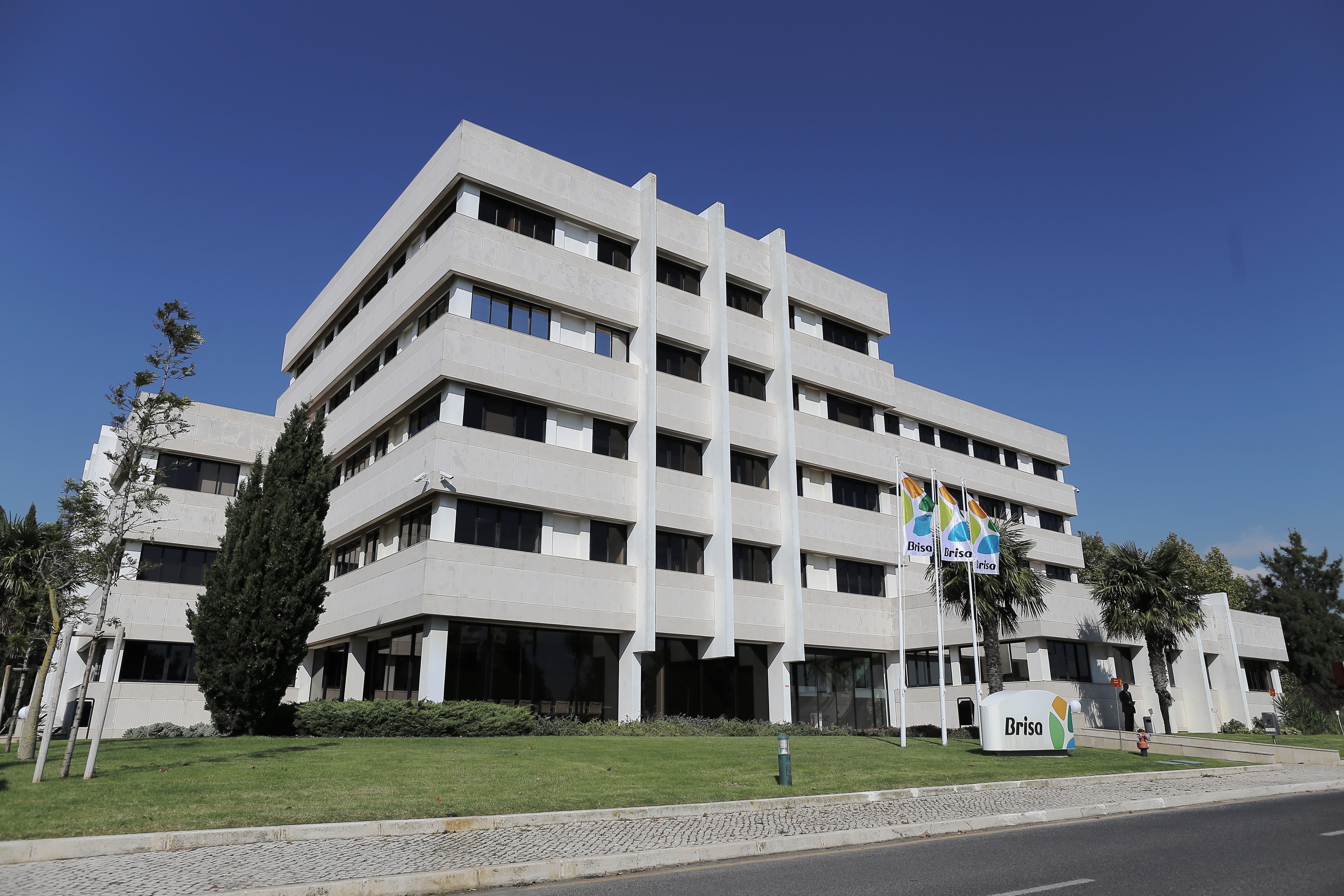 Investidores Governo Sociedade Orgaos Sociais