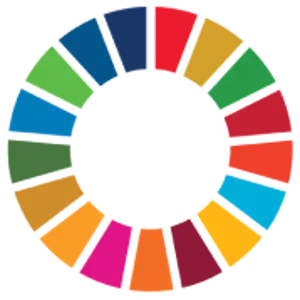 Sustainable Development Goals Brisa Group Header